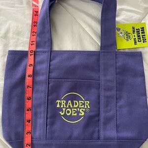Trader Joe's Purple Canvas mini Tote Bag